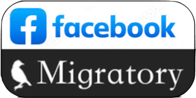 Facebook Logo